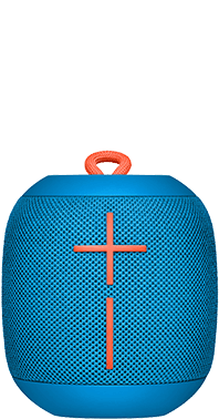 Wonderboom